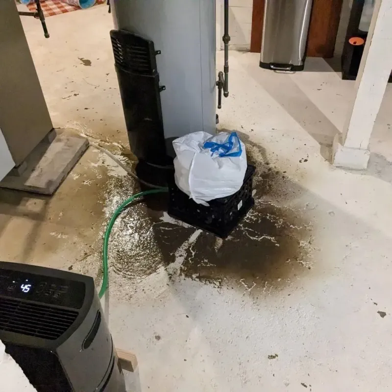 Sewage Backup Cleanup Service in Califon, NJ
